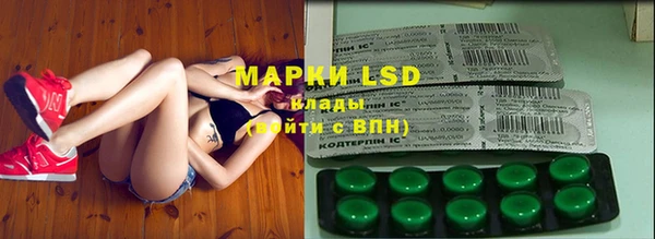 прущие грибы Магадан