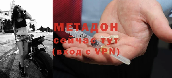 прущие грибы Магадан