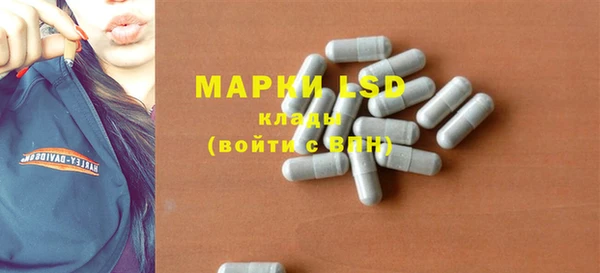 прущие грибы Магадан
