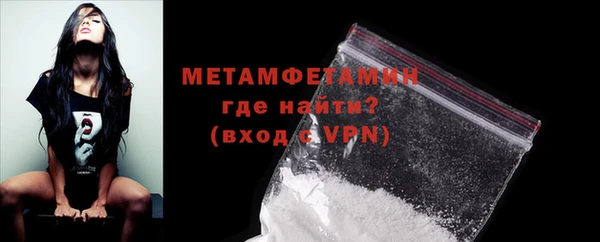 прущие грибы Магадан