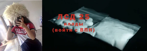 прущие грибы Магадан