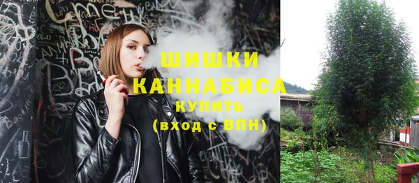 прущие грибы Магадан