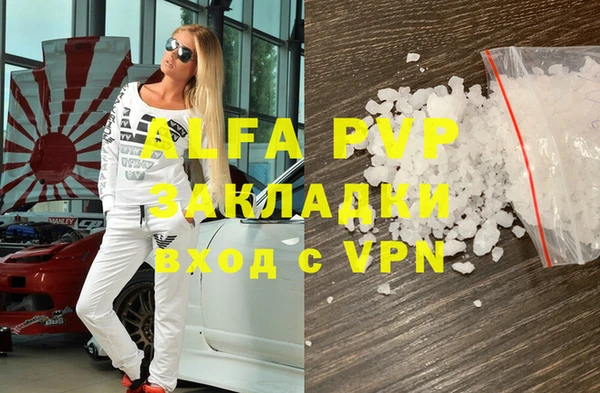 прущие грибы Магадан