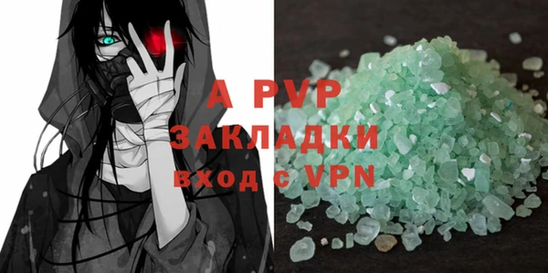 прущие грибы Магадан