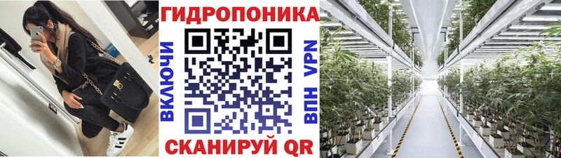 сайты даркнета состав  Новохопёрск  Бошки марихуана OG Kush 